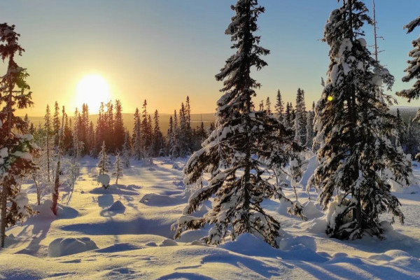 Solnedgång över vinterlandskapet.